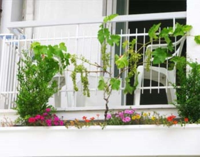 B&B Residence Sorriso Cattolica Dış mekan fotoğraf